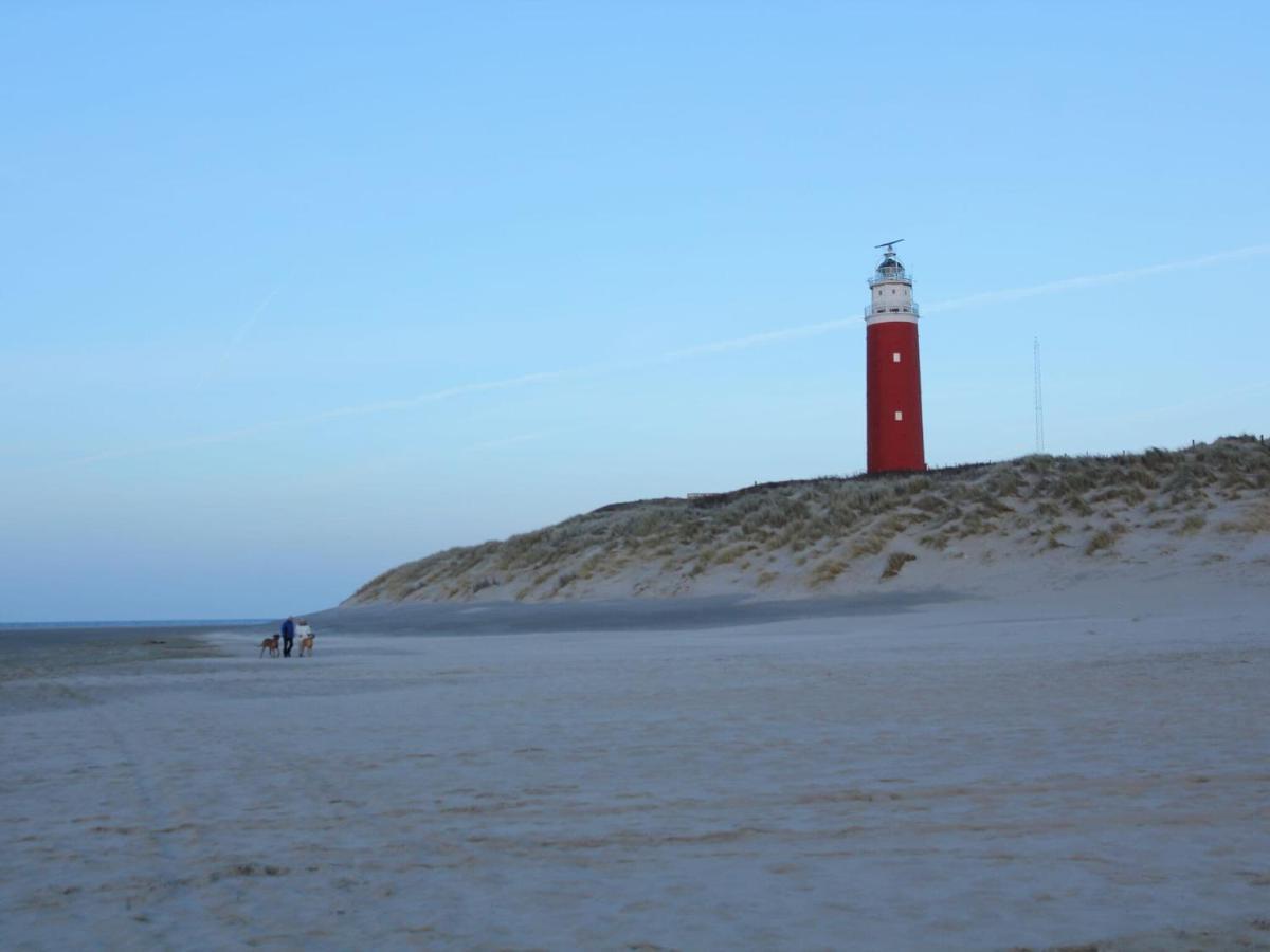 Comfortable Holiday Home In Texel With Sauna Westermient Zewnętrze zdjęcie